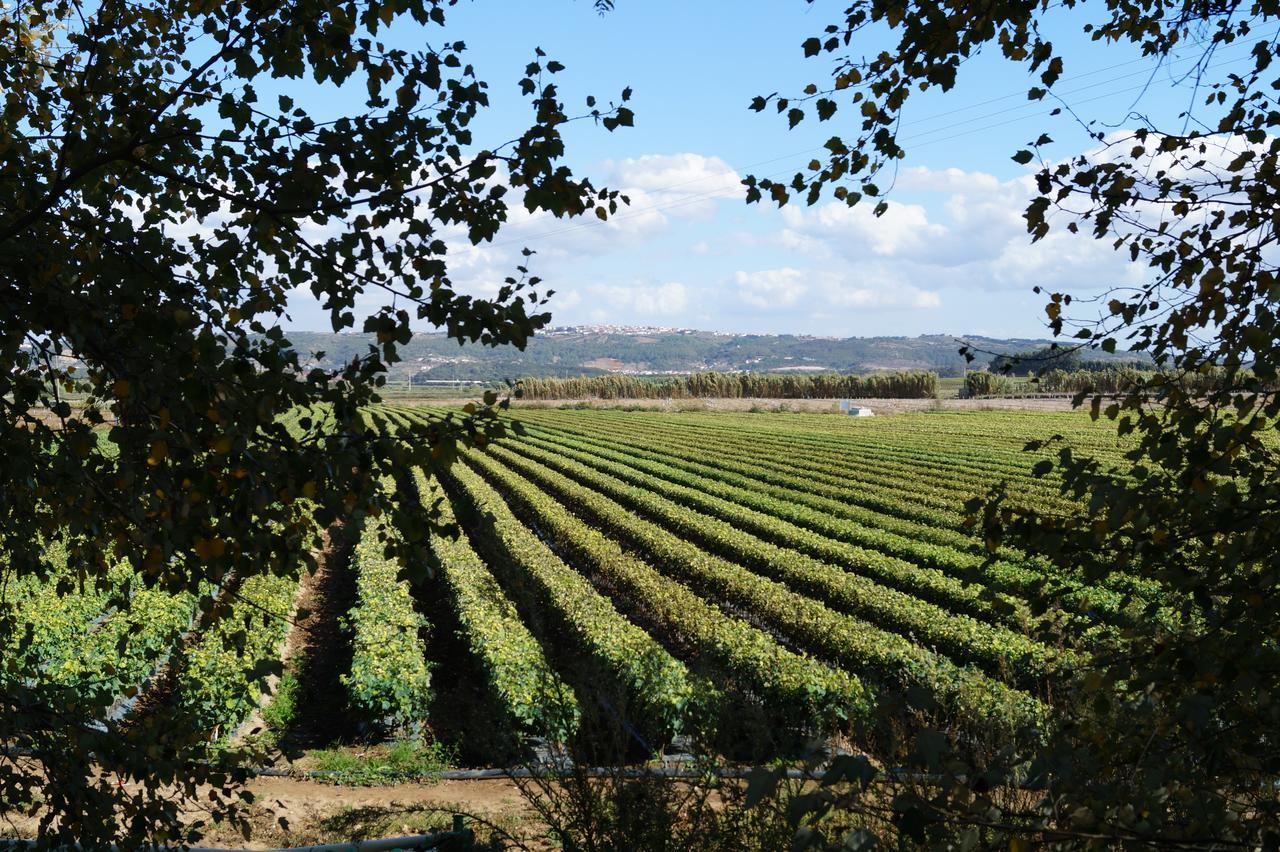 Quinta Da Azenha Obidos Hotel Kültér fotó